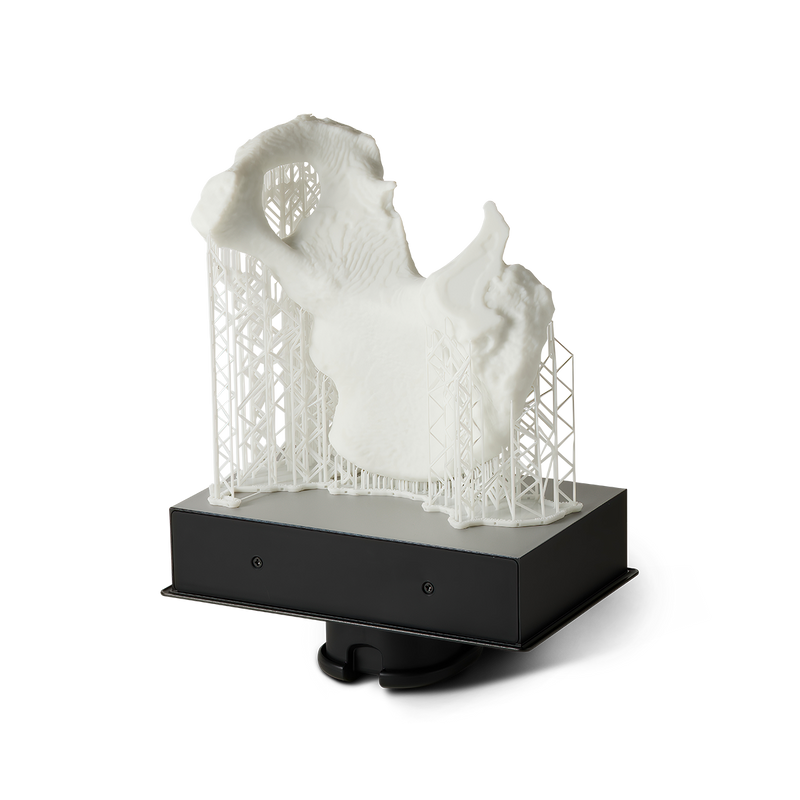 Form 4B Medical | Complete Package