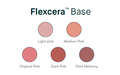 Flexcera™ Base - Proto3000 Online Store 