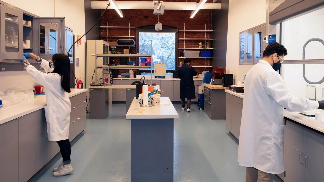 Explore industry-recognized brands