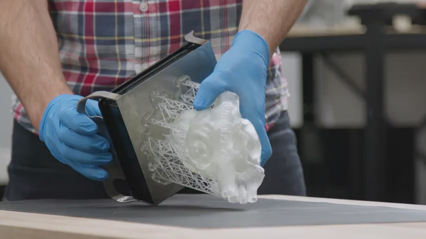 Image shows 3D printed  medical models being easily removed from Formlabs Build Platform 2  - Proto3000 Online Store 